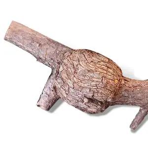 소나무혹 소형 복력목 동괴목 부엉이방구 다용도 장식 목재 솟대재료