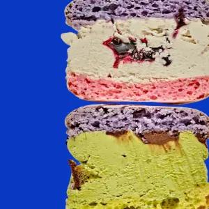 널담 마카롱 뚱카롱 8구(사랑/감동)