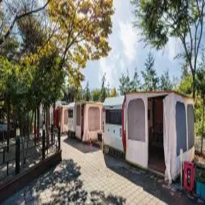 [충남] 아산 트윈스 캠핑 앤 카라반(충남캠핑/글램핑/아산캠핑/글램핑)