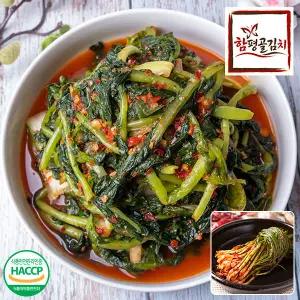 [함평골김치] 감칠맛이 풍부한 전라도 열무김치3kg+파김치2kg