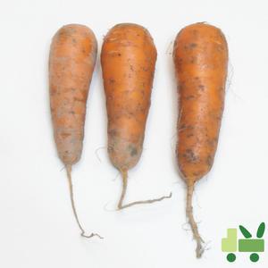 당근 (흙당근) 중 20kg