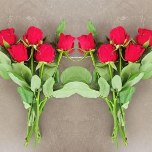 [이벤트] 랜덤 장미 10송이 장미꽃 생화 꽃다발