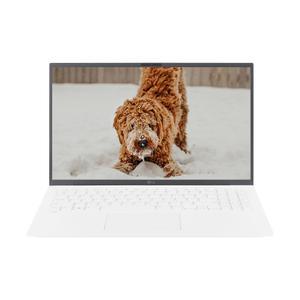 LG전자 LG그램 15Z90S-GA5NK SSD 512GB 교체