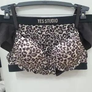 예스 DP01 예스/여성/몰드브라세트/호피  YSWBAA01/AA01