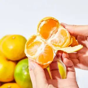 제주 감귤 조생 귤 타이백 9kg