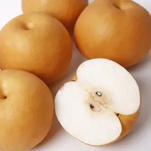 나주배 3kg 5kg 7kg 가정용