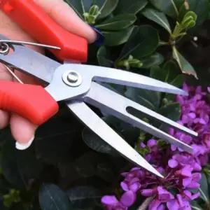 원예 가위 식물 손가위 초경량 U자형 (WFK5VWA)