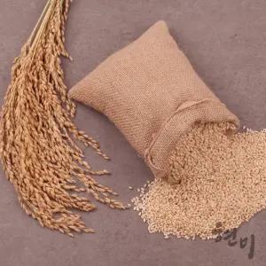 2025년산 국산 현미 4kg (2+2kg)-[정성든농수산]