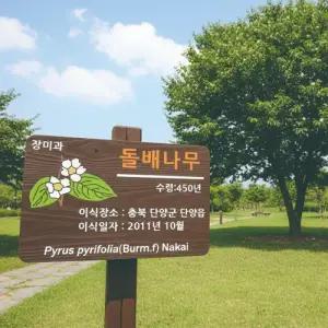 텃밭팻말 나무간판 우드표찰 수목장명패 안내판 푯말 전원주택문패 1S321