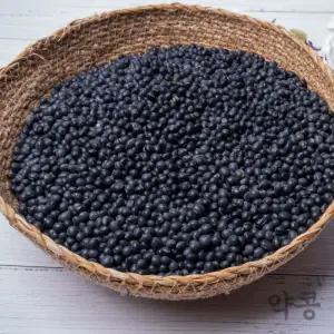 국산 약콩 쥐눈이콩 1kg