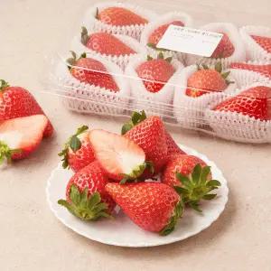 조이베리 딸기 350g 팩