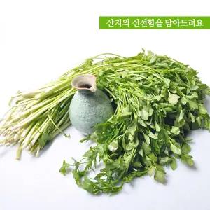 [당일수확]산지의 신선함 그대로 청도 청정 생 미나리 1kg