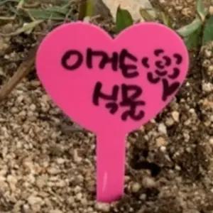 화분 식물이름표 라벨네임택 하트꽂이 랜덤색상 20p 수목표찰 식물이름표