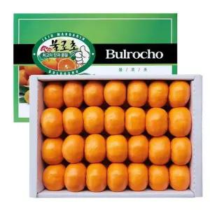 제주 불로초 감귤세트5kg 코스트코 마켓송지2601