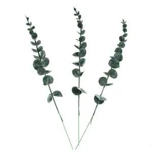 유립투스 조화 홈카페조화