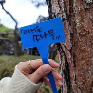 화단 화분 식물 이름표 팻말 꺾임 대형 30cm