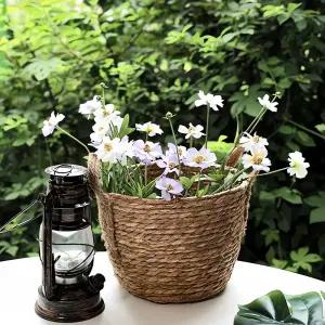 데이지 마가렛 조화 꽃 장식 식물 인테리어 소품 플라워 심플 취생 신부 부케 아트 정원