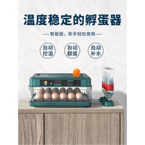 유정란부화기 부화용 98칸 36개 자동회전 가정용 병아리부화기 전자동 달걀 메츄리