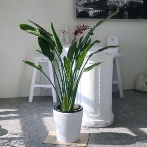 베하몰 마블 화분 아일라 가로줄미분 31x32cm분갈이 홈가드닝 식물키우기 꽃키우기 원예용 집들이선물 꾸미