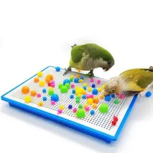 앵무새 장난감 놀이 스트레스 해소 앵무새 장난감 놀이 스트레스 해소