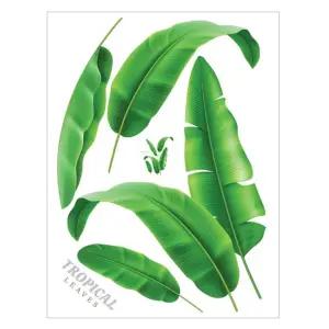 데코인테리어 바나나잎 FDT-21404/스티커/벽지/포인트/벽/붙이는/인테리어/화장실/욕실/그림/현관문/책상