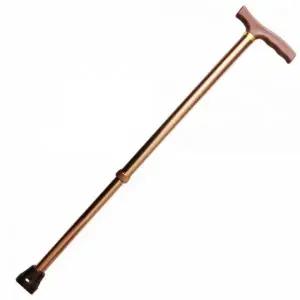 고급 이중 지팡이 안전 보행 이동 보조 품질 좋은 무지 디자인