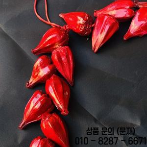 WWE 솔로 시코아 사모아 울라 기념 목걸이 통치 레드 부족 공식 행사 액세서리