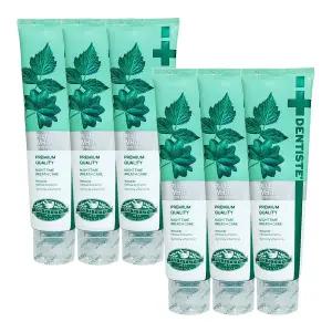 덴티스테 플러스 화이트 나이트타임 치약 160g 6개