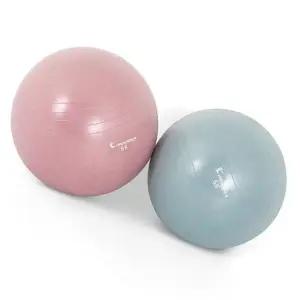 55cm 출산준비 짐볼 홈트레이닝 테스 아이워 (WFKKQUV)