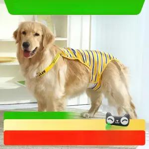 반려견 배변 속옷 기저귀 위생 대형견 생리 생리대 팬티 커버 강아지