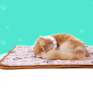 반려동물 극세사 담요 중형 애견 침대 이불 방석 수면 매트 (WFKKMQT)