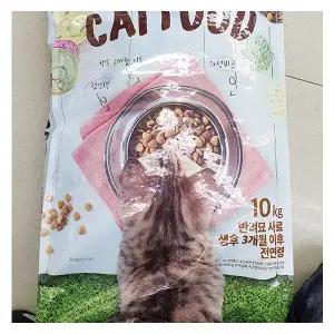 캣 푸드 반려묘 사료 (성묘용) 10kg x 1개