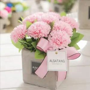 카네이션 꽃 비누 감사 선물 졸업식 어버이 화분