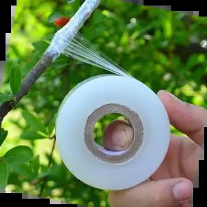 분재 접목테이프 접붙이기 비닐 원예용 식물테이프