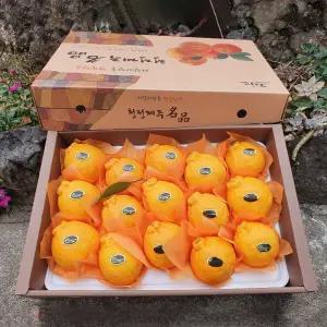 명절선물 제주 프리미엄 한라봉 선물세트 3kg 5Kg 만감류 설선물 제철과일