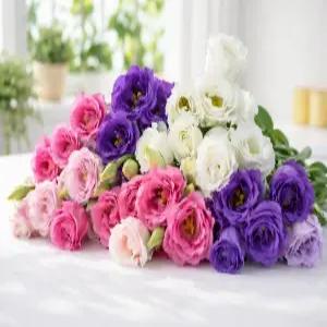 꽃 생화 꽃다발 리시안셔스 출산 생일 승진 축하 위로 감사 택배 정기구독 꽃배달 인테리어