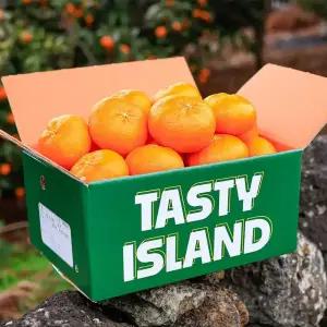 [품질보장] 고당도 레드향 2kg 중소과 / 실중량 발송!