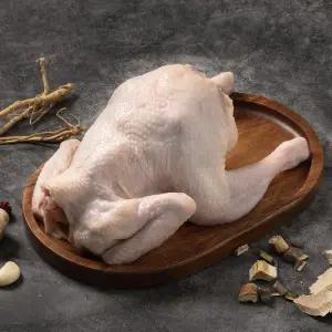 [품질보장] 토종닭 1.3kg + 한방부재료 100g