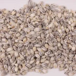 국산 검정보리1kg/검은보리/