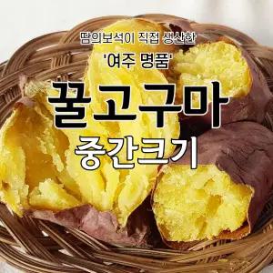 2025년햇여주밤고구마 /꿀/호박/밤고구마/중간크기