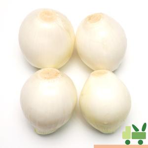 국산 깐양파 (1등) 5kg