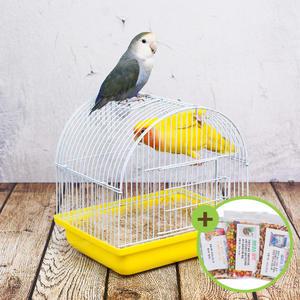 소동물용 철제 라운드형 이동장 소형 앵무새 YD261