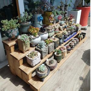 st904-2 다육이화분진열대 정리대 받침대 스탠드 원목 방부목 목재 다이 정리선반 인테리어선반