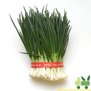 깐쪽파 (1단) 1kg