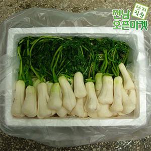 행운가족농원 절임알타리 5kg 절인알타리 무