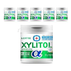 롯데웰푸드 자일리톨 알파 오리지날 용기, 86g, 6개