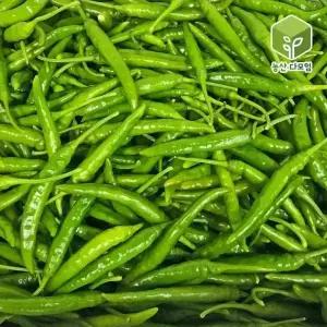 국내산 매운 청량 청양고추 2kg