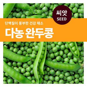 다농 완두콩 씨앗 50g