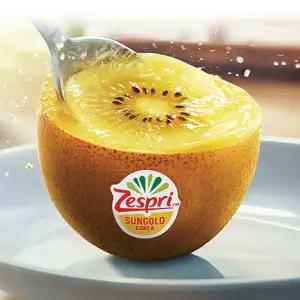 제스프리 썬골드키위 중과 2.2kg (18입,개당 120g내외)