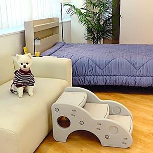 베이몽 강아지 계단 논슬립 반려견 애견 펫 스텝3단 각도조절 국내산